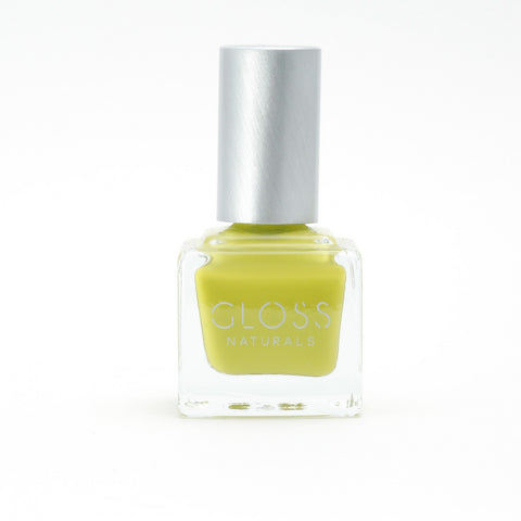 Avocado - 60077